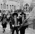 Religious Jew preparing for the Sukkot Autumn Harvest holiday.