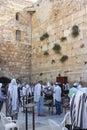 Religious jews, praying at the Wailing Wall in Jerusalem