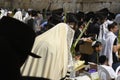 Religious men praying at the wailing wall in Jerusalem during Sukkot