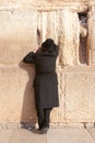 A religious orthodox prays at the Wailing Wall Royalty Free Stock Photo
