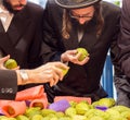 Religious young Jews choose etrog