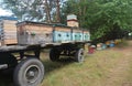 Relocating Honey Bees on Colorful Caravan in Forest. Mobile caravan for relocating honey bees colonies