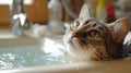 Reluctant cat receiving a bath in a sink, water cascading, amusing scene, Ai Generated