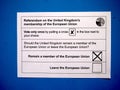 Remain vote on EU referendum paper