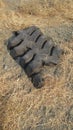 Remainder of old rubber tire