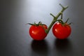 Remaining Cherry tomatoes with green stalk