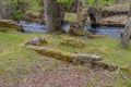 Remaining Foundation of an old Iron furnace Mill