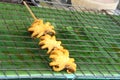 Remaining grilled squid