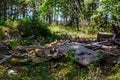 Remainings of a destroyed wooden building in the forest of Hanko Finland Royalty Free Stock Photo