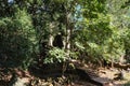 The remains of ancient stone buildings in the Cambodian forests, the ruins of medieval Khmer architecture