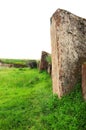 Remains of an ancient stone wall with tall grass Royalty Free Stock Photo