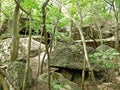 Remains of the barracks of Fort IVa Waldersee, PoznaÃâ, Poland