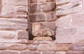 The remains of a bas-relief in a niche in the ruins of Roman Temple in Petra. Near Wadi Musa city in Jordan Royalty Free Stock Photo