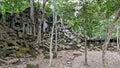 Remains of Beng Mealea Temple, Cambodia