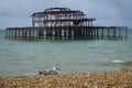 Remains of Brighton West Pier, England, UK Royalty Free Stock Photo