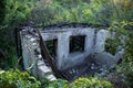 The remains of the burnt house in the woods. View from above.