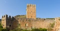 Remains of the castle in the Garden of Ninfa Royalty Free Stock Photo