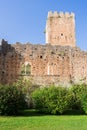 Remains of the castle in the Garden of Ninfa Royalty Free Stock Photo