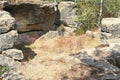 Remains of chapel of Castle Falkenstein