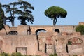 Ruins of the Circus Maximus in Rome, Italy