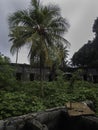 Remains of a civilian hospital built by the Japanese on Tonoas Island, Truk Royalty Free Stock Photo