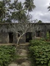 Remains of a civilian hospital built by the Japanese on Tonoas Island, Truk Royalty Free Stock Photo