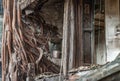 The remains of a derelict abandoned ancient house with antique doors and tree roots