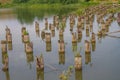 The remains of a destroyed old wooden bridge across the river, dilapidated logs driven into the water of the reservoir Royalty Free Stock Photo