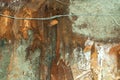 Remains after devastating flood rotten wooden floor and concrete with broken wires inside house.