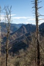 Remains of Forest Fire Scarred Chimney Tops Royalty Free Stock Photo