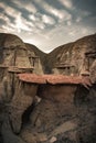 Remains of a Fossilized Tree, Unusual Place on Earth in Bisti Badlands, New Mexico, Usa