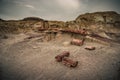 Remains of a Fossilized Tree, Unusual Place on Earth in Bisti Badlands, New Mexico, Usa