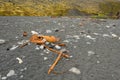 Rusty ship wreck remains on Dritvik beach, Iceland