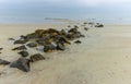 Remains of Hurricane Damaged Jetty on North Beach