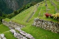 Remains of Inca Agricultural Terraces on the Mountain Slope of Machu Picchu Citadel, Sacred Valley of the Inca in Cuzco, Peru