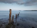 Pilmore Groynes at sunset