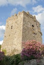 Remains of a medieval castle. Ruins. Royalty Free Stock Photo