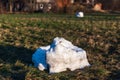 Remains of a melted snowman. A big dirty snow ball that melts in the spring. Arrival of spring on a background of green grass