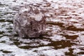 Remains of a melted snowman.