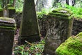 Remains of old church cemetery gravestones on Island Of Art in center of Orava River Dam, northern Slovakia