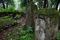 Remains of old church cemetery gravestones on Island Of Art in center of Orava River Dam, northern Slovakia