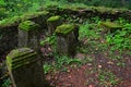 Remains of old church cemetery gravestones on Island Of Art in center of Orava River Dam, northern Slovakia