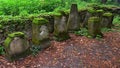 Remains of old church cemetery gravestones on Island Of Art in center of Orava River Dam, northern Slovakia