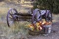 Remains of an old horse-drawn wooden wagon Royalty Free Stock Photo