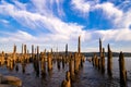 Remains of old pier sticking out of water of river rotten poles