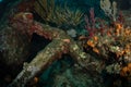 Remains of an old shipwreck off the Caribbean island of St Martin