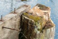 Remains of an old wooden bridge. Rusty nails stick out of a rotten Board. A rotten wooden beam sticks out of the water Royalty Free Stock Photo