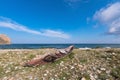 Remains of an old wooden fishing boat on the rocky shore of Lake Baikal. Olkhon Island