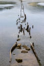 Remains of old wooden pier in salt marshes in Ston Croatia. Royalty Free Stock Photo