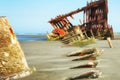 Peter Iredale Ship Wreck at Low Tide Royalty Free Stock Photo